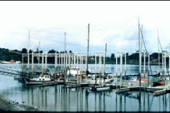 Marina_1_