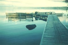Untitled-17_1_